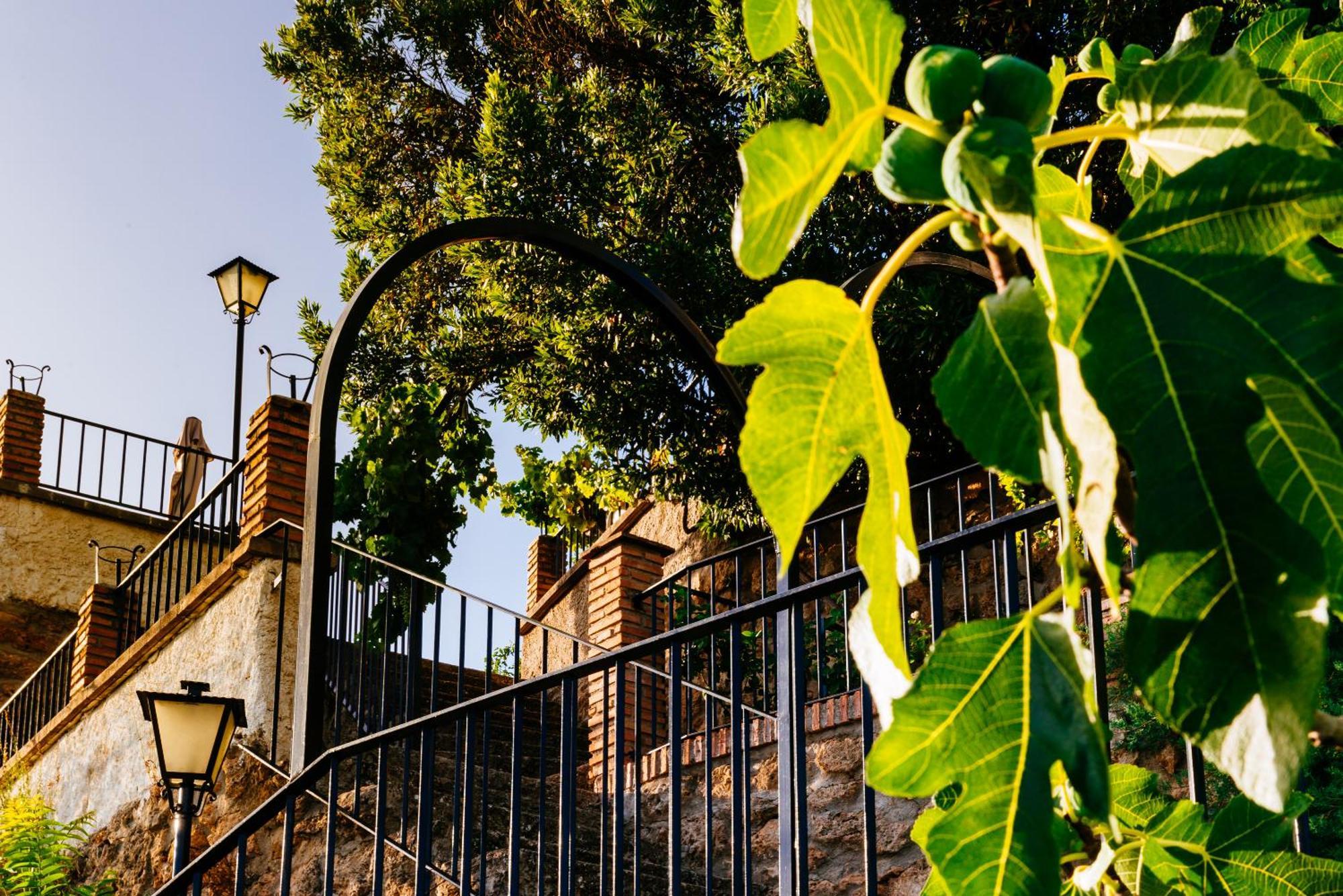 Casa vacanze La Atalaya *